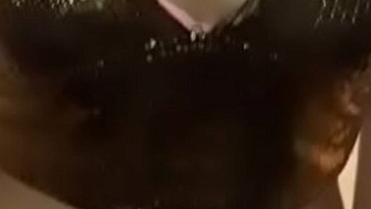 Hot Teen Blowjob - Crisanto999 Fucks Estefani's Mouth Hard