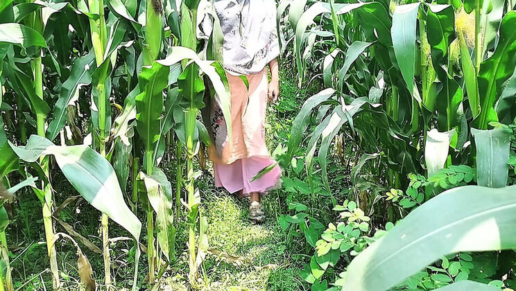 Desi Village Girl First Time Anal Try - Outdoor Fucking in HD