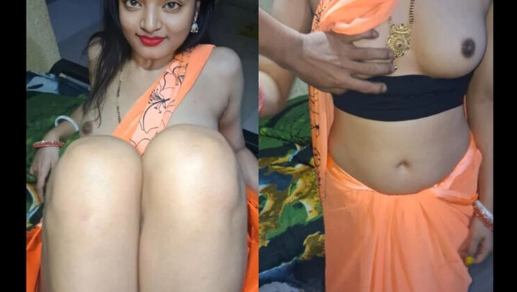 Desi Bhabhi Hardcore Sex with Devar in Saree - Hindi Audio Fuck