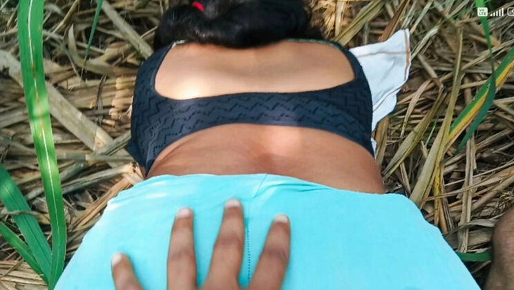Desi Bhabhi Outdoor Anal Sex Hindi Audio - Big Ass Indian Village Fuck