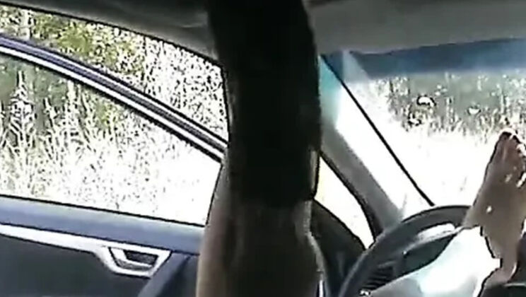 Amateur Brunette Wanilianna Outdoor Stockings Humble Fuck