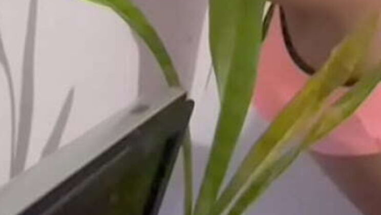 Homemade Sex With Brunette Cleaning Lady - Petite Latina Babysitter Fucked By Boss