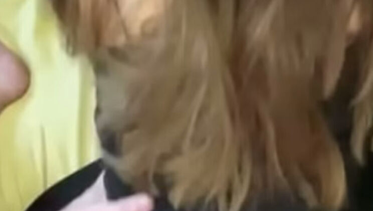 Amateur white girl loves secret neighbor sex