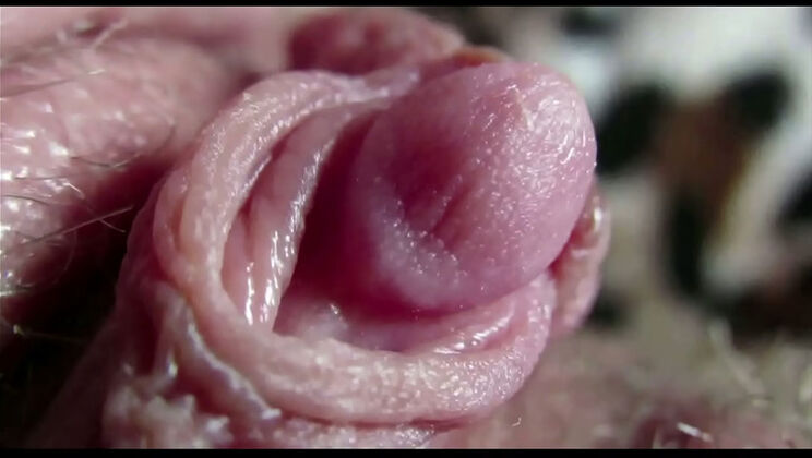 Mrs Cool Pussy shows off her big clit in a closeup